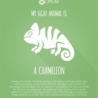 Sight Animal Chameleon.jpg